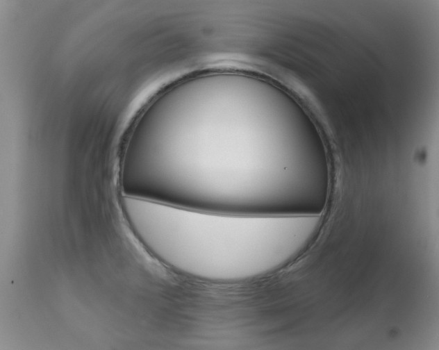 X0000112801376200908210953