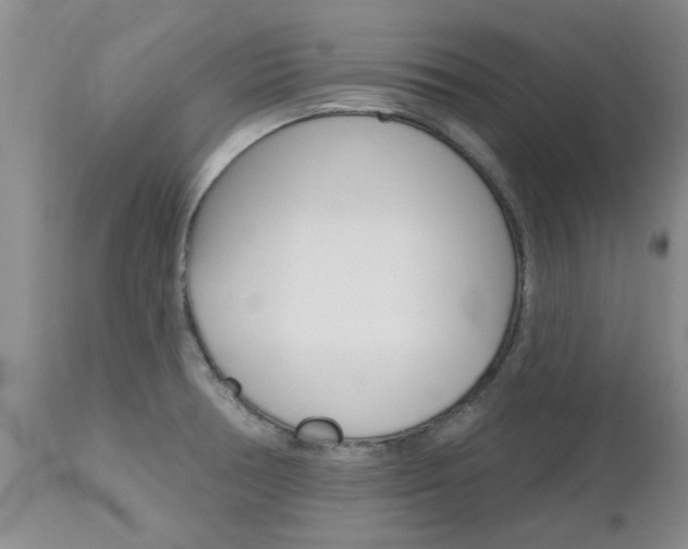 X0000112801378200908210953