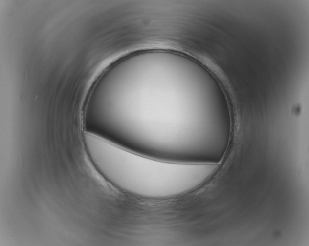 X0000112801380200908210953