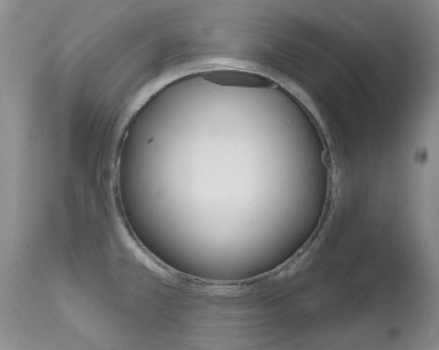 X0000112801381200908210953