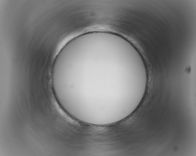X0000112801382200908210953