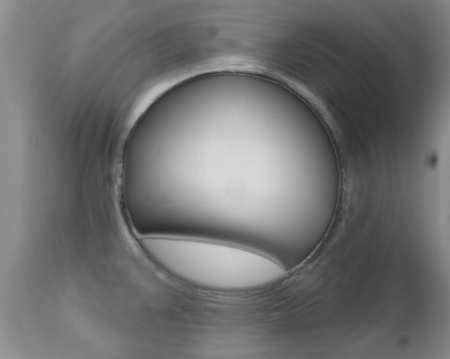 X0000112801383200908210953