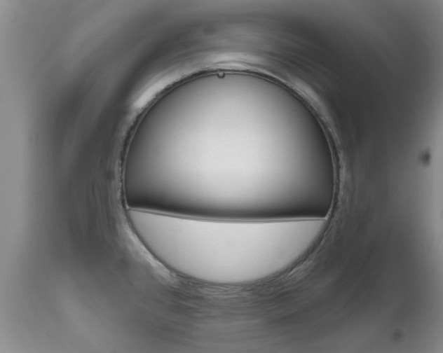 X0000112801384200908210953
