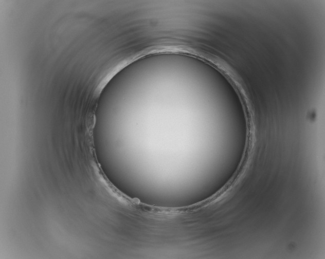 X0000112801385200908210953