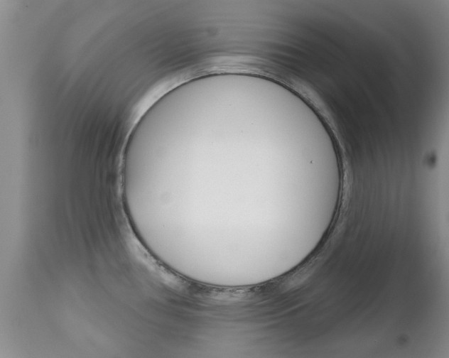 X0000112801386200908210952