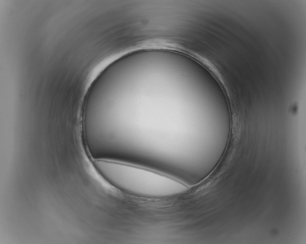 X0000112801387200908210952