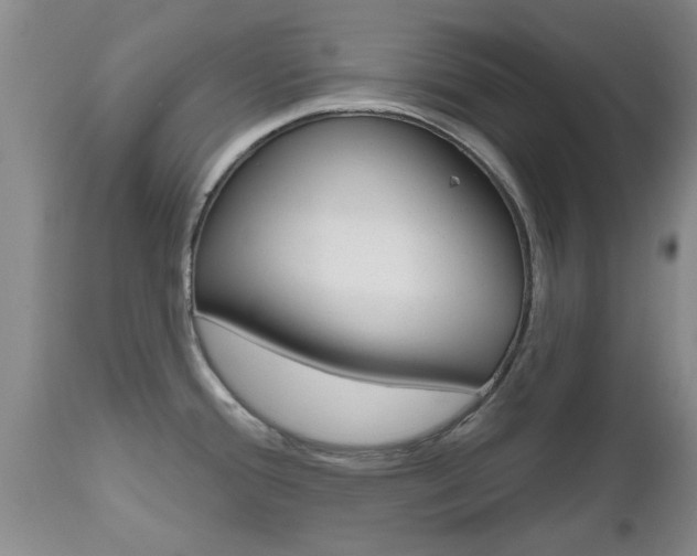 X0000112801388200908210952
