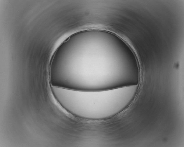 X0000112801389200908210952