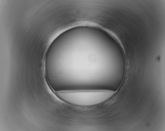 X0000112801391200908210952