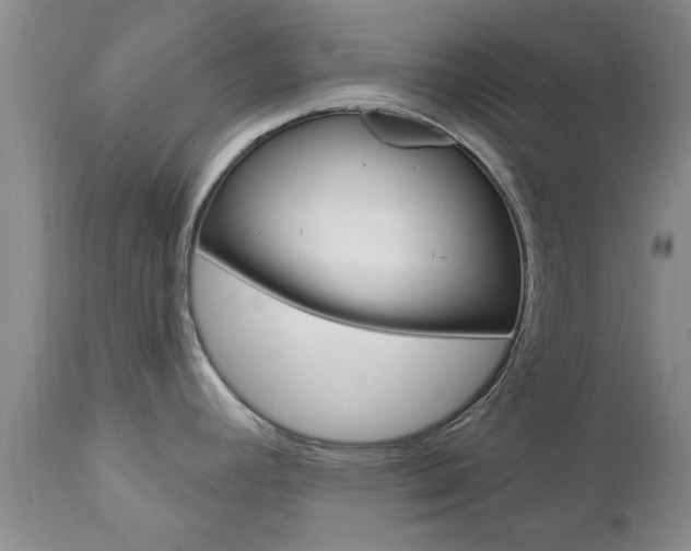 X0000112801392200908210952