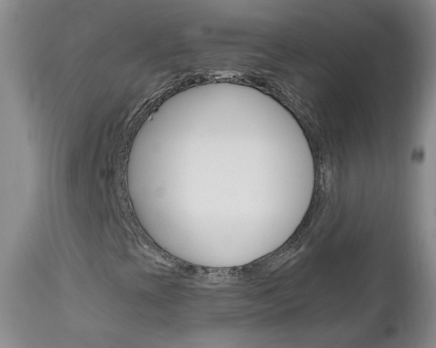 X0000112801393200908210952