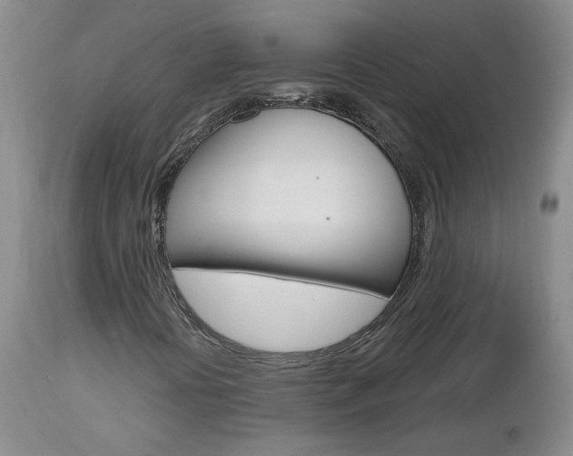 X0000112801394200908210952