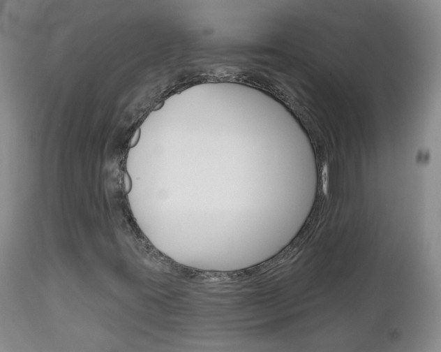 X0000112801395200908210952