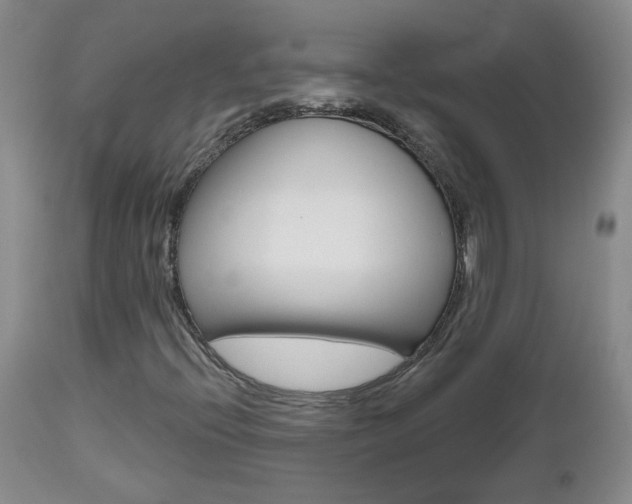 X0000112801396200908210952