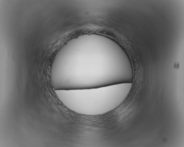 X0000112801397200908210952
