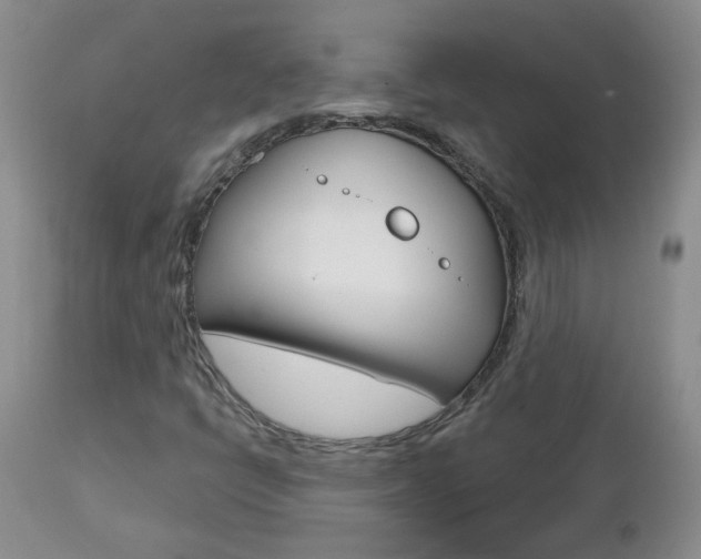 X0000112801398200908210952