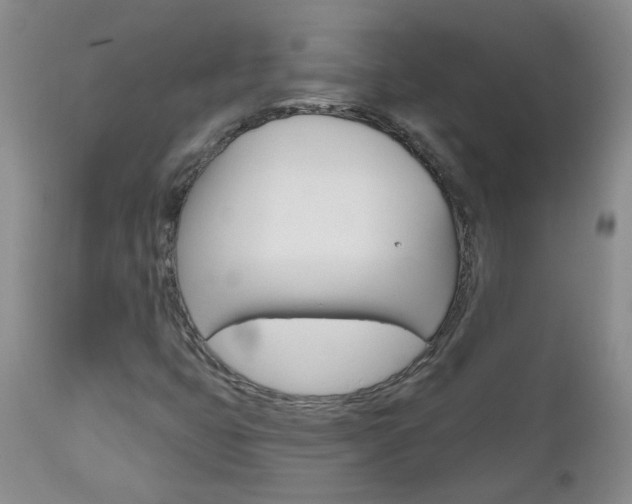 X0000112801399200908210952