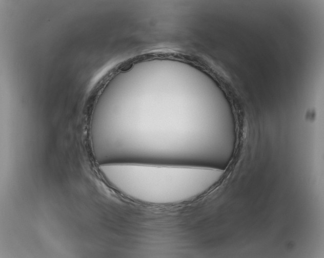 X0000112801400200908210952