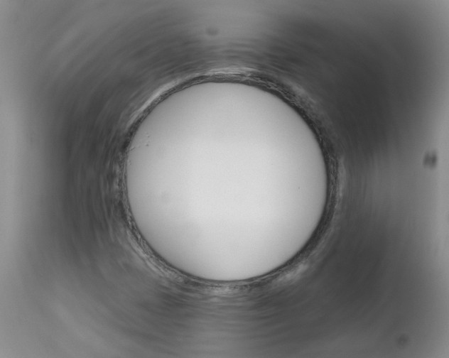 X0000112801401200908210952