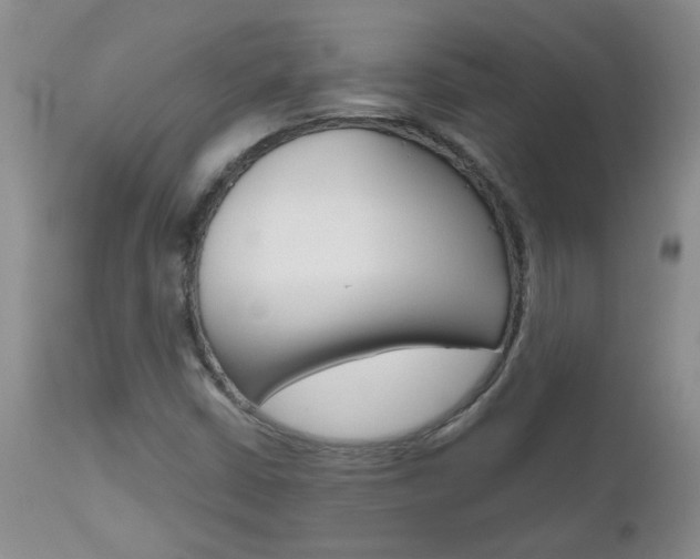 X0000112801402200908210952