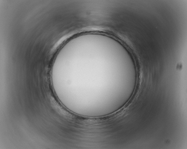 X0000112801404200908210952