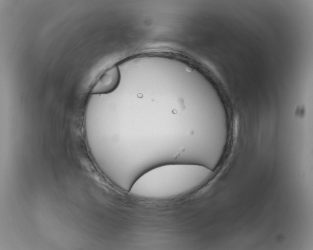X0000112801405200908210952