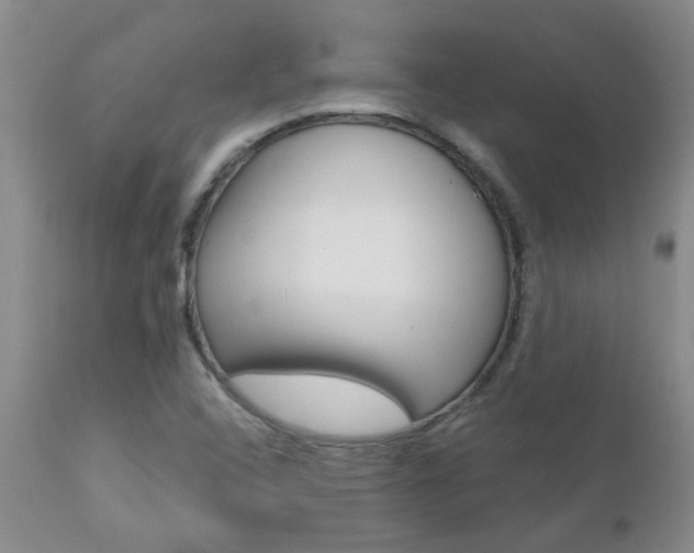 X0000112801408200908210952
