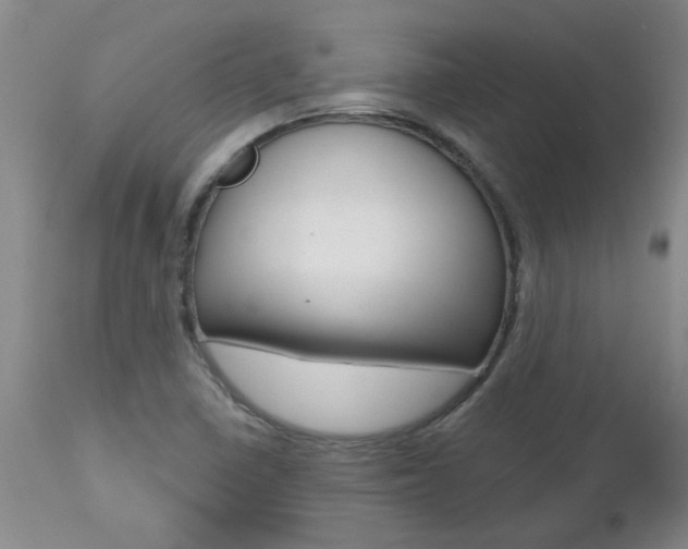 X0000112801410200908210952