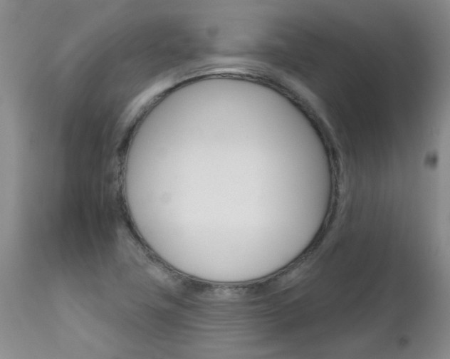 X0000112801411200908210952