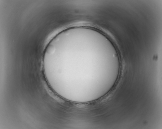 X0000112801413200908210952