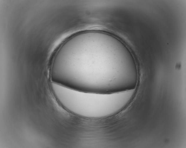 X0000112801414200908210952