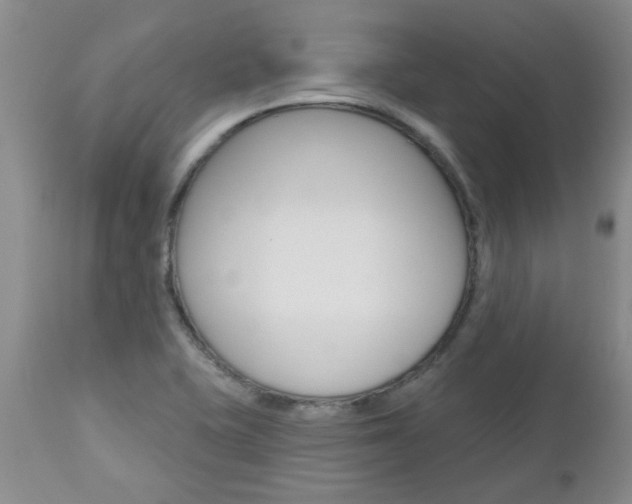 X0000112801415200908210952