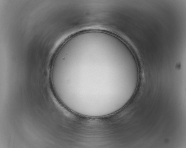 X0000112801416200908210952