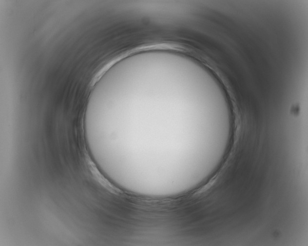 X0000112801417200908210952