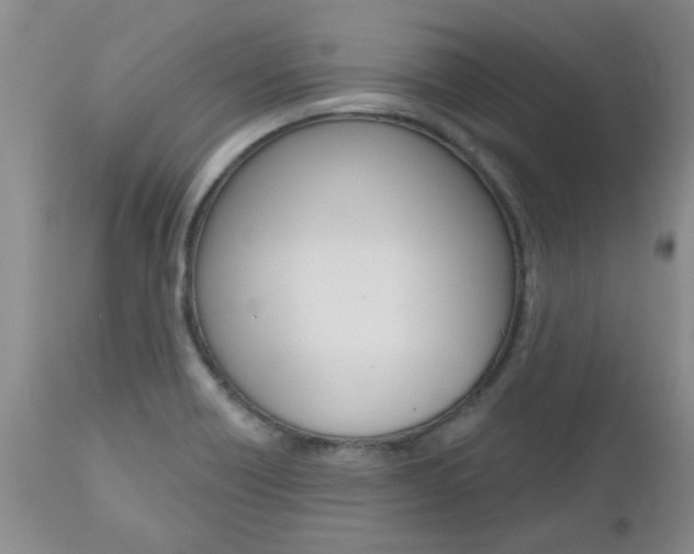 X0000112801418200908210952