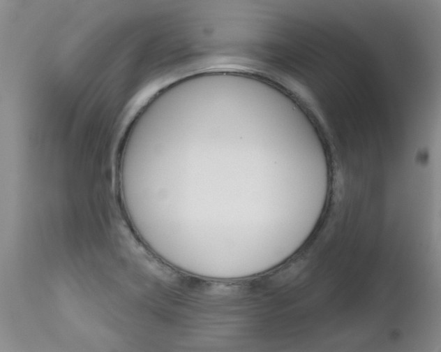 X0000112801419200908210952