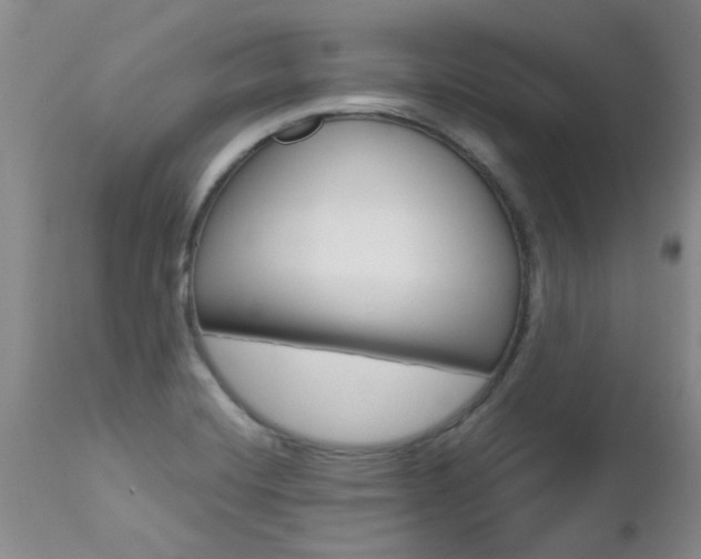 X0000112801420200908210952