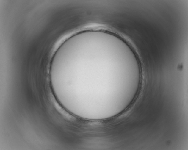 X0000112801421200908210952