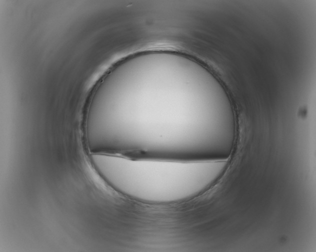 X0000112801422200908210952