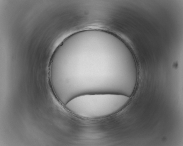 X0000112801423200908210952