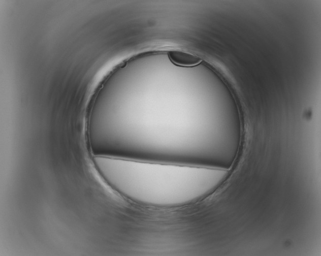 X0000112801424200908210952