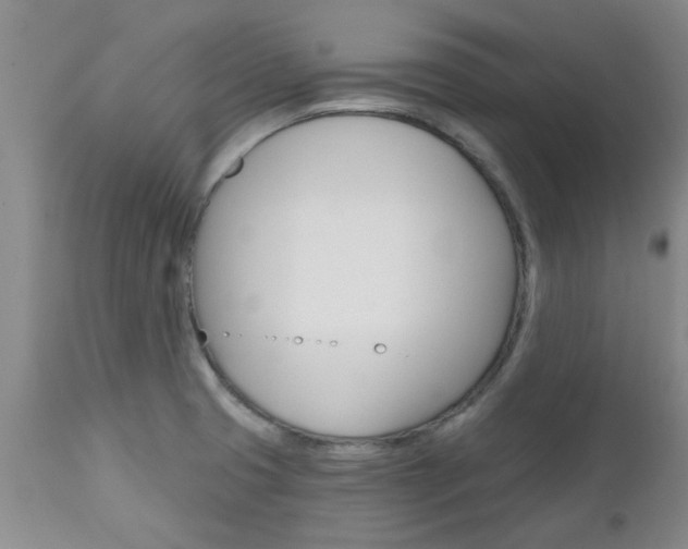 X0000112801425200908210952