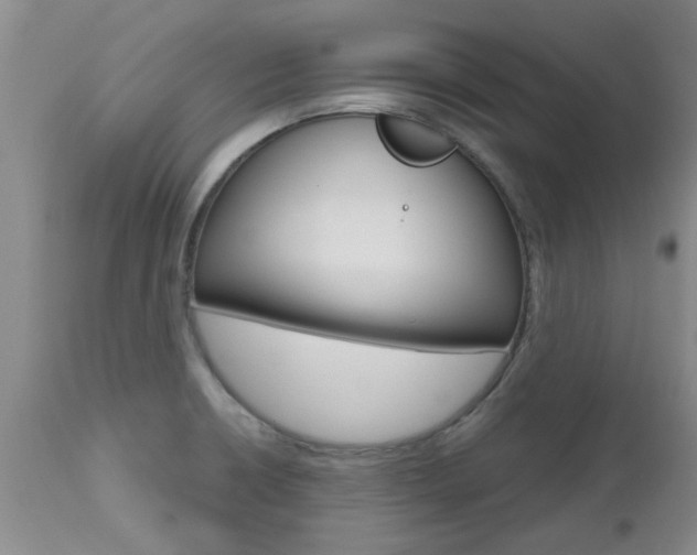 X0000112801426200908210952