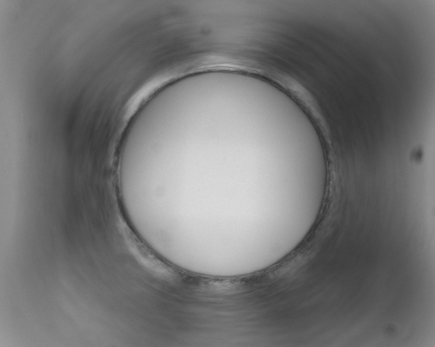 X0000112801427200908210952