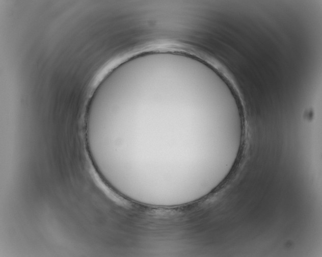 X0000112801429200908210952