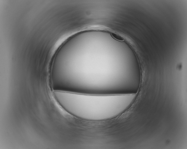 X0000112801430200908210952