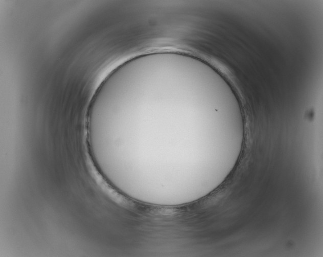 X0000112801431200908210952