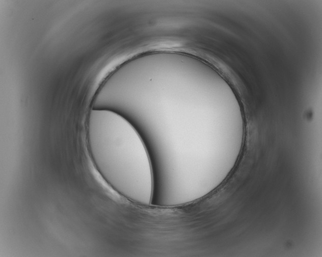 X0000112801432200908210952