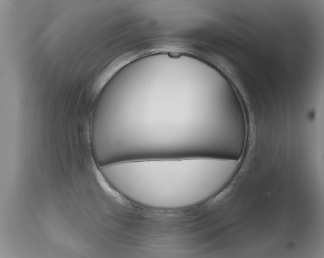 X0000112801433200908210952