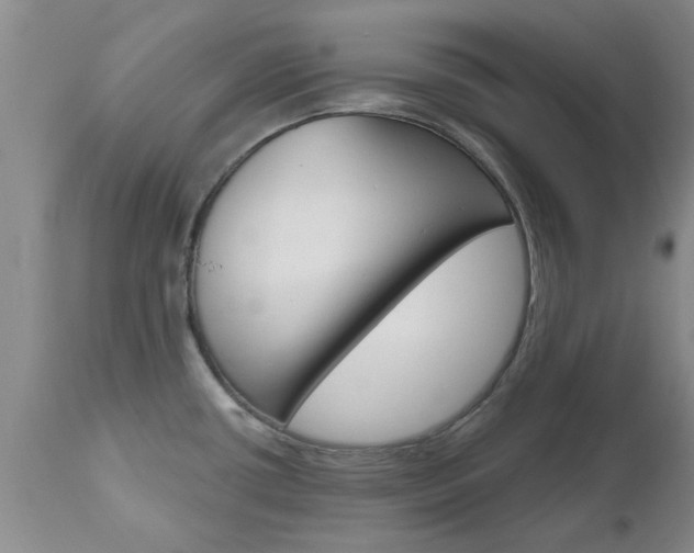 X0000112801434200908210952